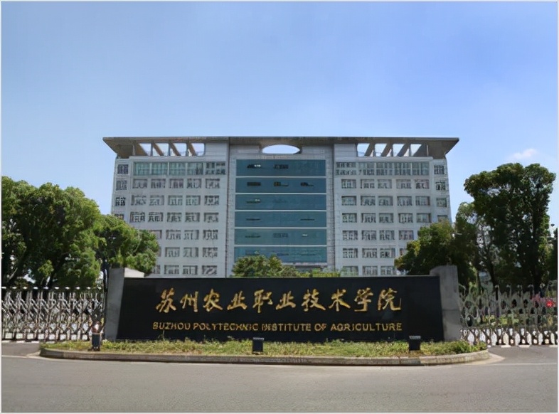 农村大叔种植桃子,农村大叔新发明的种植技术