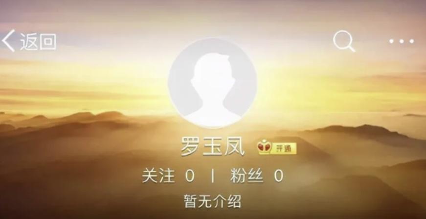 网红第一人罗玉凤,网红罗玉凤现象