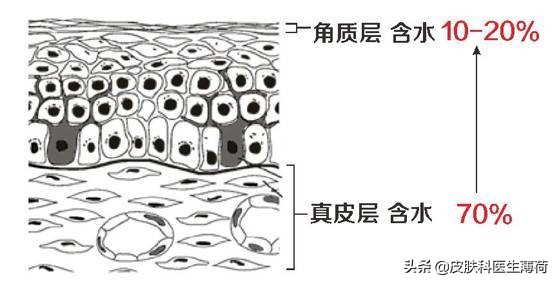 想变美学点什么好,皮肤抗老要怎么补充营养