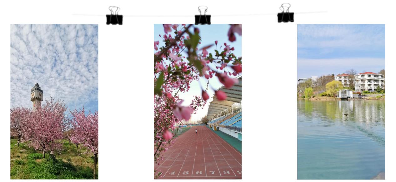 南京工业大学校招好吗,南京工业大学今年自招多少人