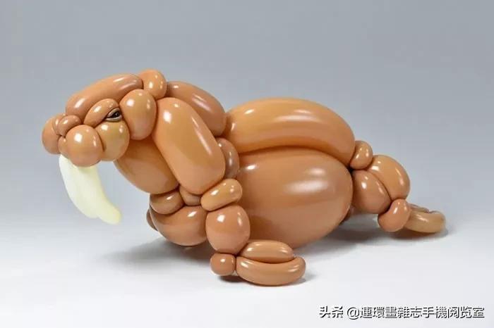 长气球的天鹅编法,天鹅气球编法