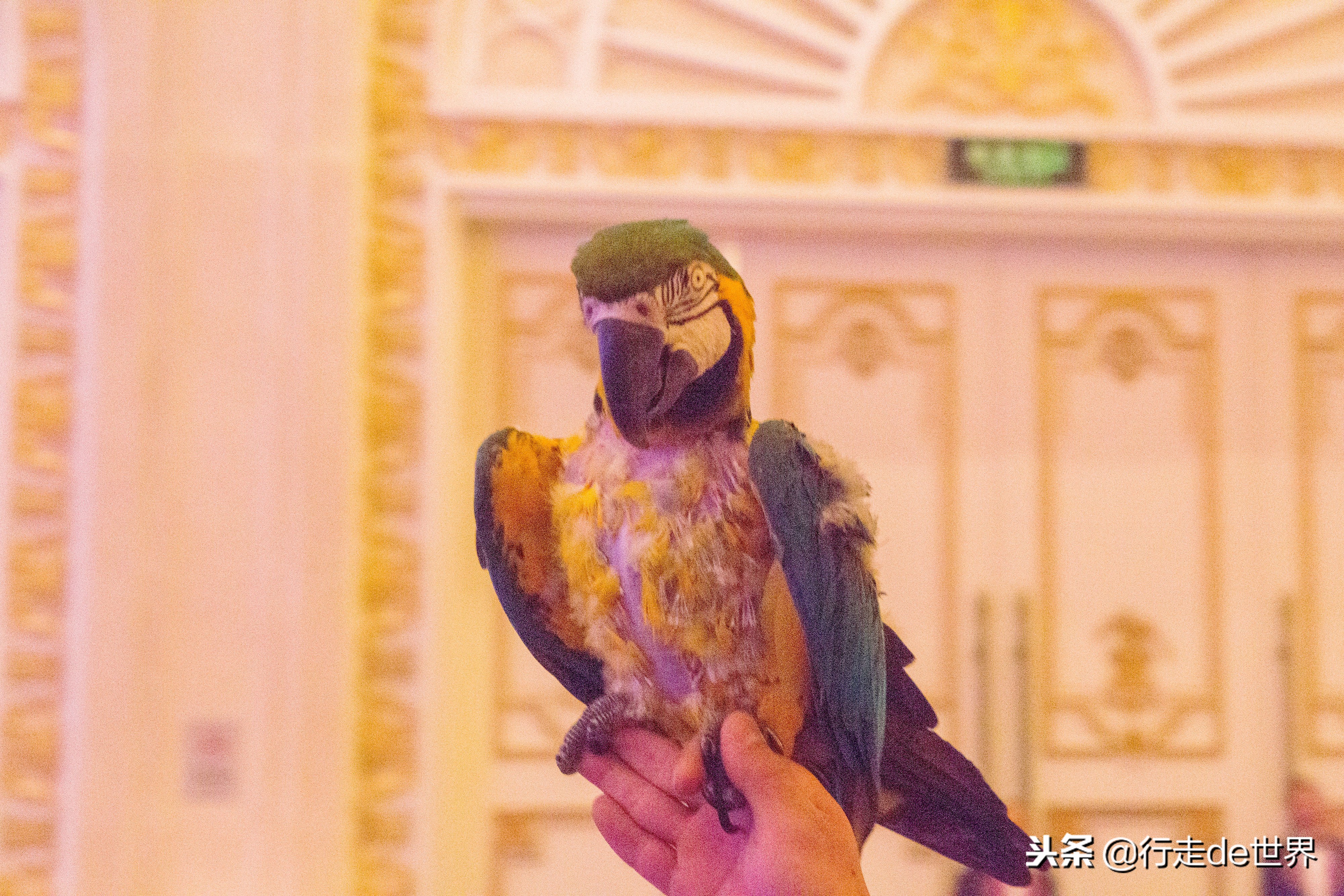 超多网红小姐姐打卡,网红温泉云瑶谷温泉