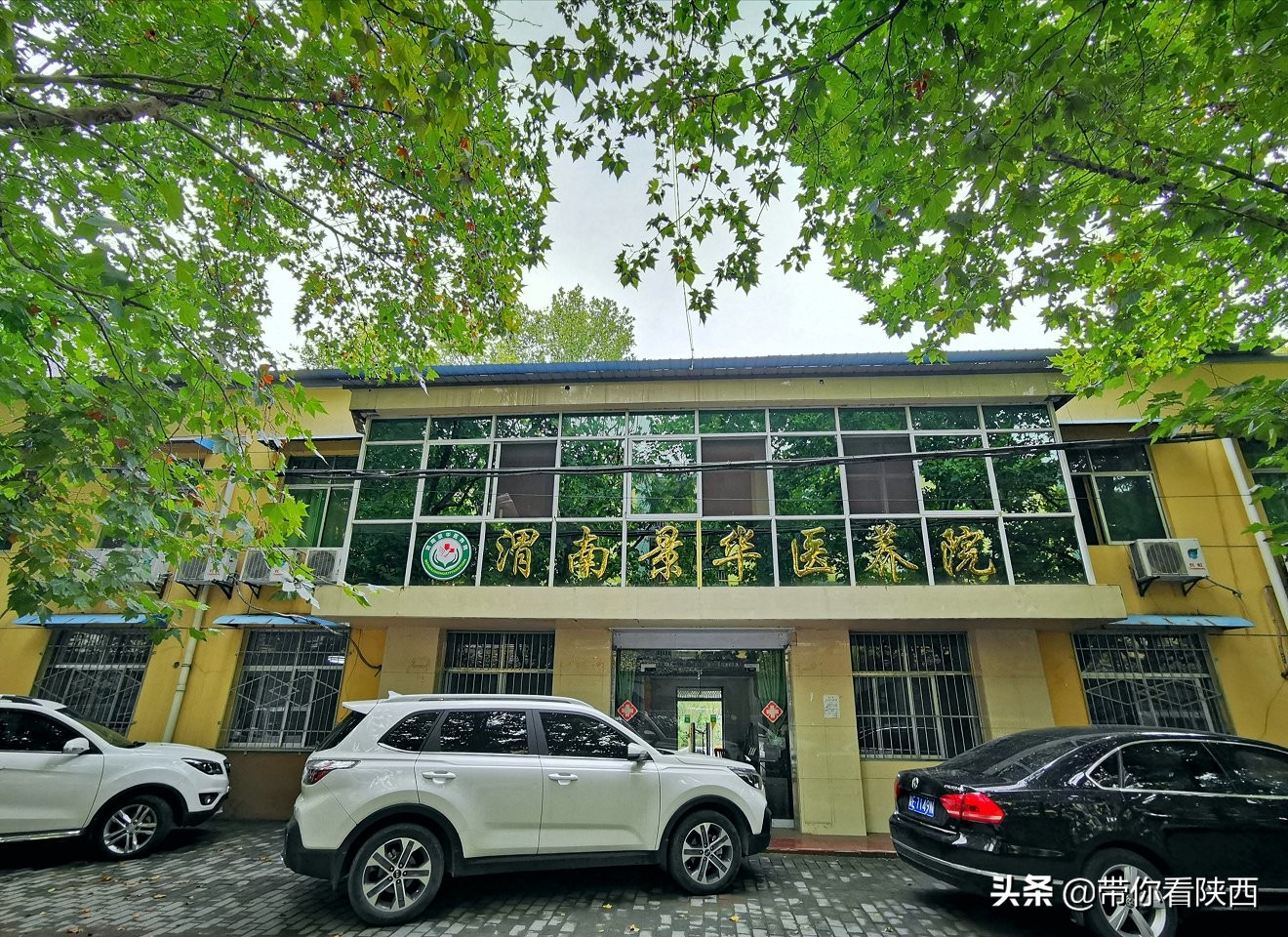 谷泽天下生态农场走进渭南市景华医养院举办重阳节爱心慰问活动