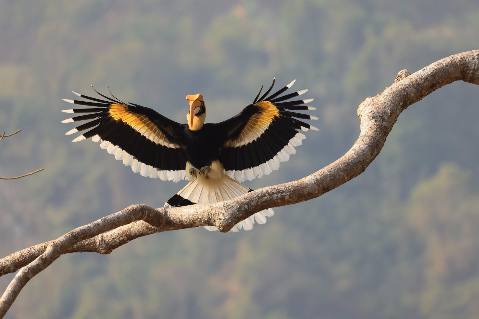 如何用eosr5拍摄视频,eosr5摄影