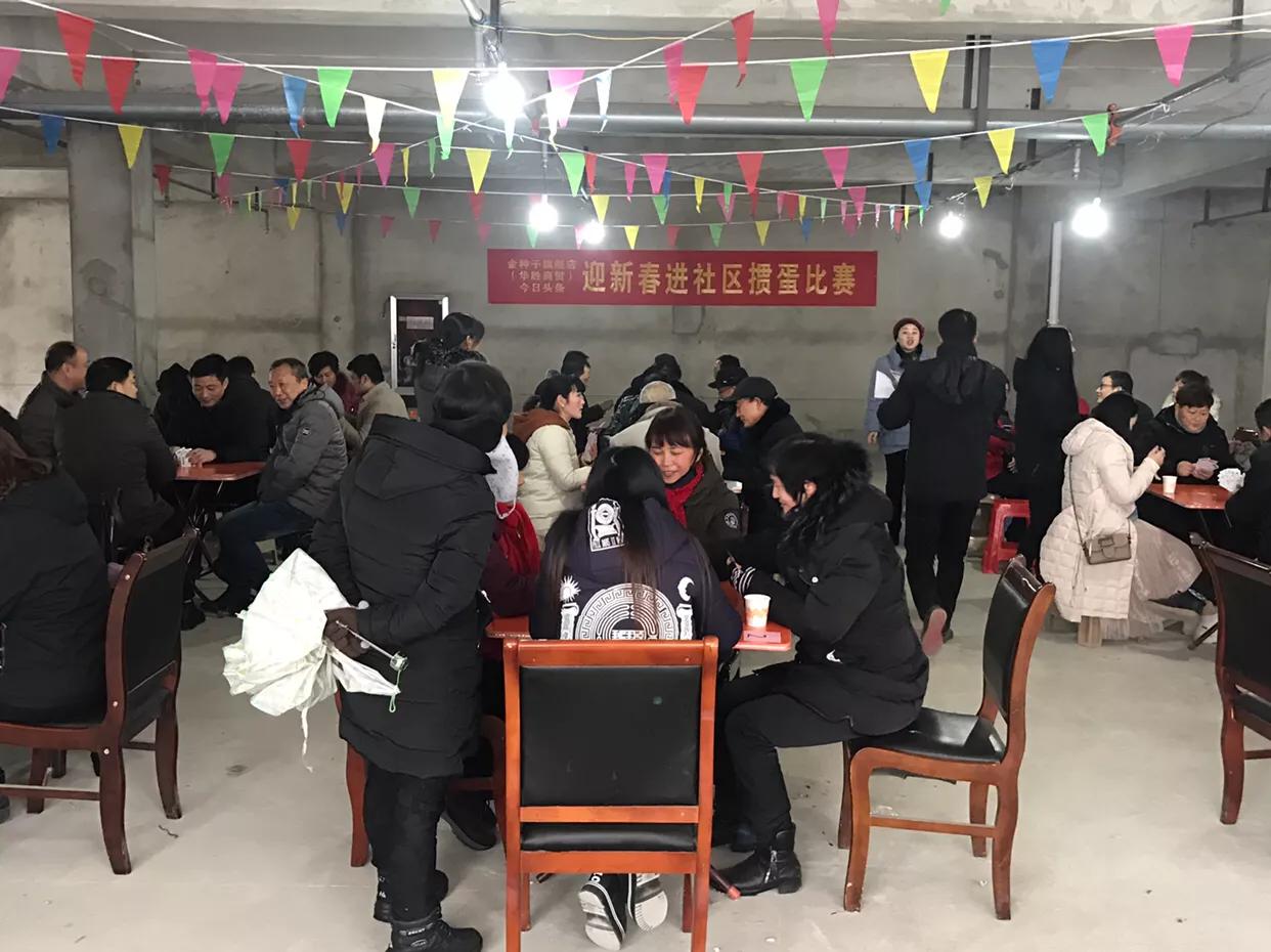 金种子比赛视频,金种子大赛