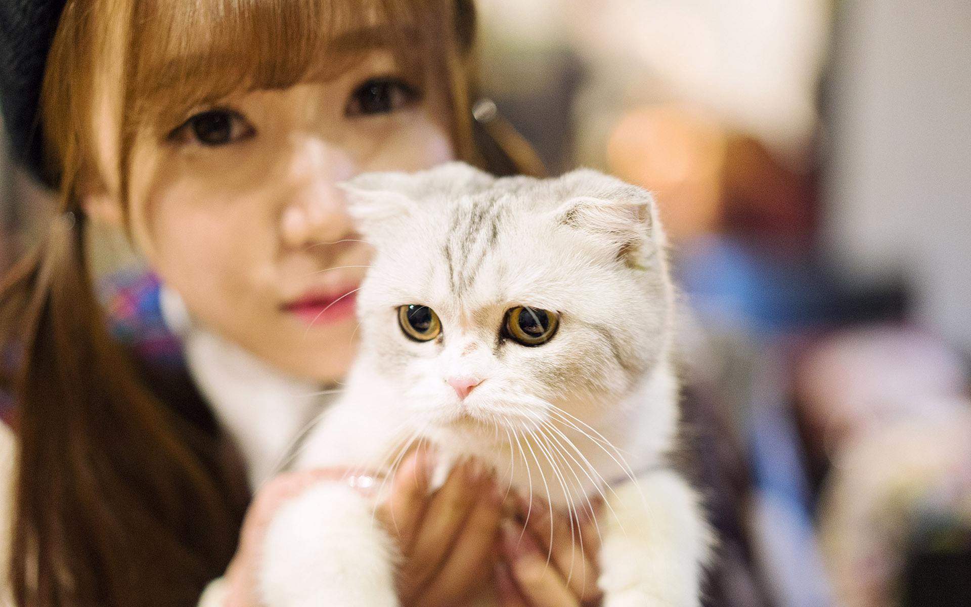 猫突然猝死是什么原因,什么会使猫急性死亡