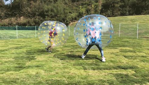 成都桃花花海,成都绕城周边花海
