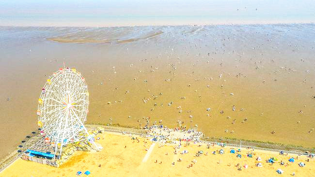 上海有好看的海边景点吗,上海好玩的海滩免费可以赶海