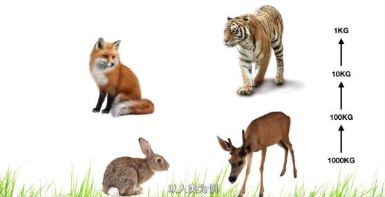 1816年出现六月飞雪,真的不怪窦娥,而是另有隐情