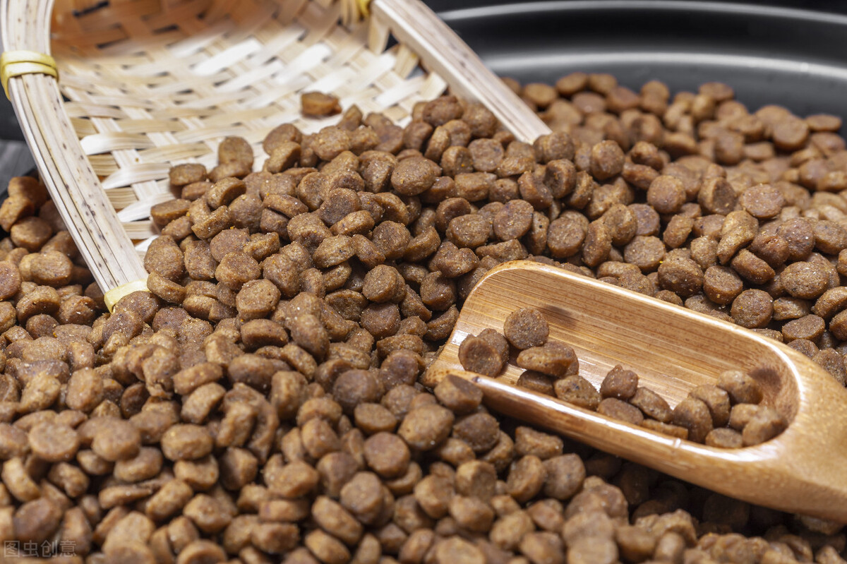 金毛犬吃什么狗粮最好吃,金毛犬什么品牌狗粮好