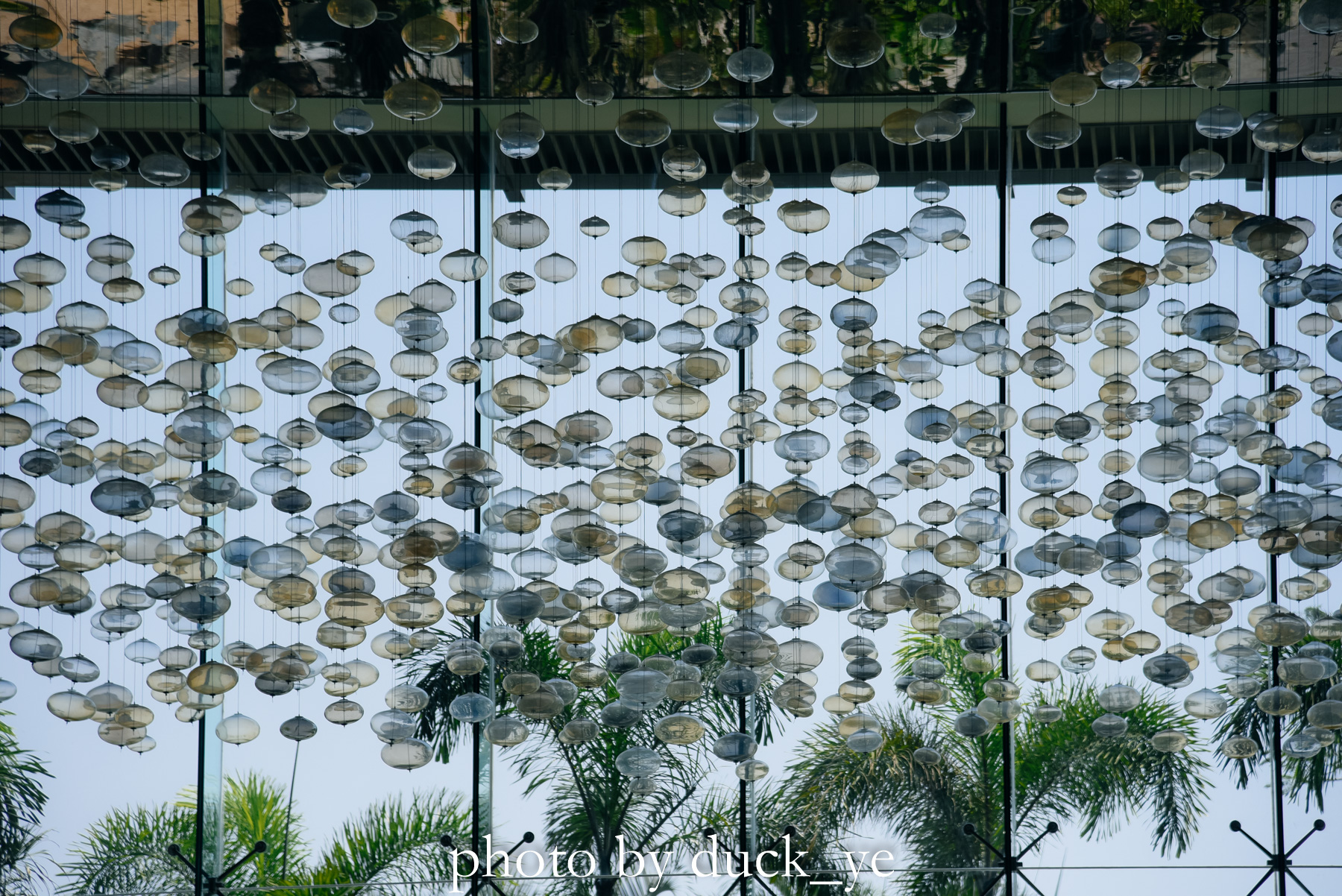 厦门哪个酒店适合玩海,厦门可以看到海的酒店