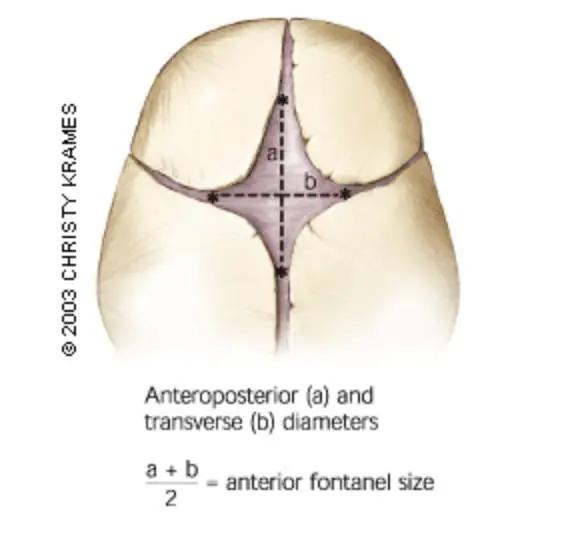 宝宝囟门小还要不要补d3,囟门末闭补维生素d还是d3