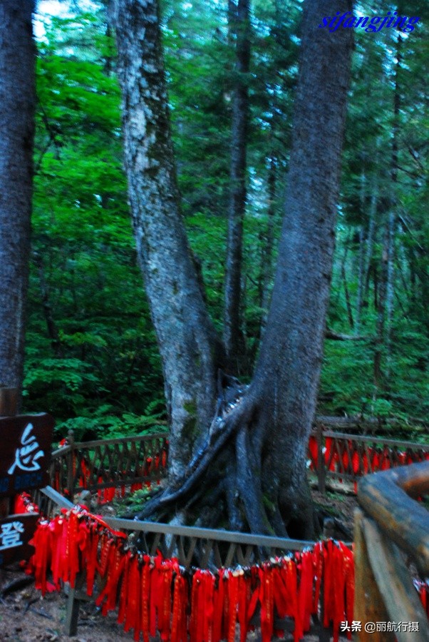 成都到东三省自驾游最佳路线,成都至东北自驾游