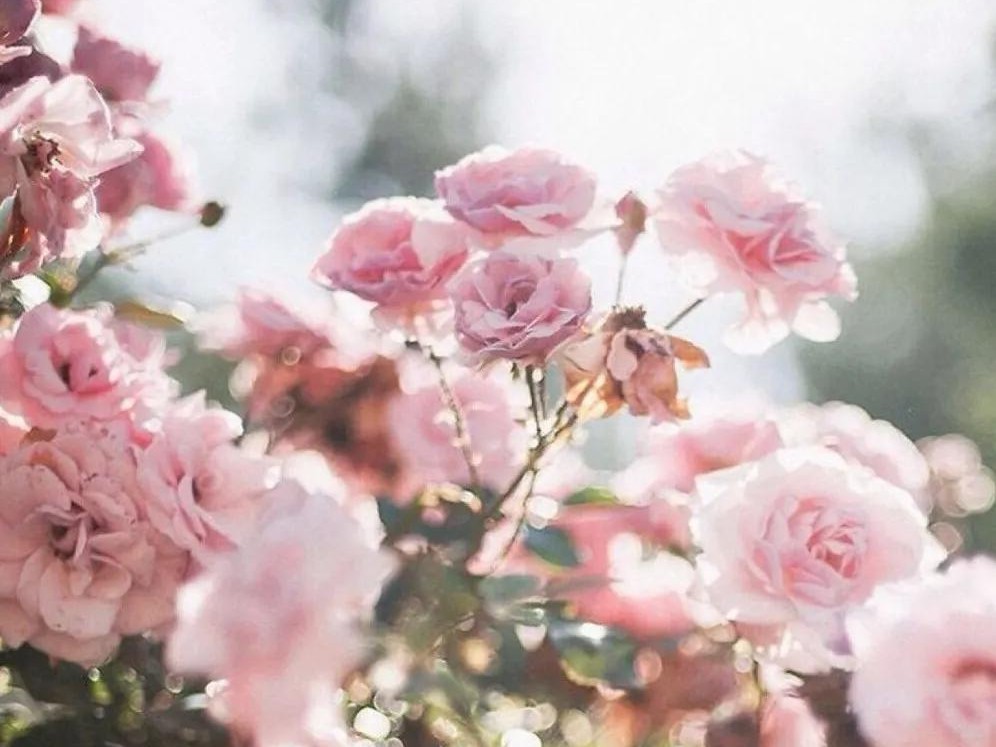 结婚7年老公越来越对我不好,结婚7年被老公宠坏了