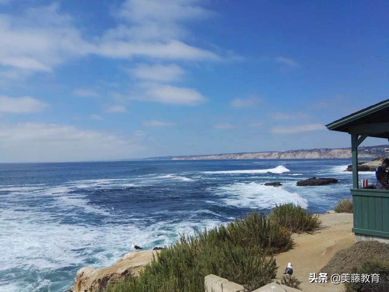 年薪5万的工作要求,年薪5000万以上的工作