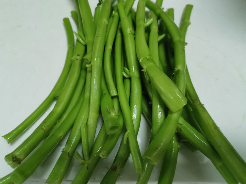 酸辣空心菜梗和酸豆角做法,四川空心菜酸豆角肉末怎么炒好吃