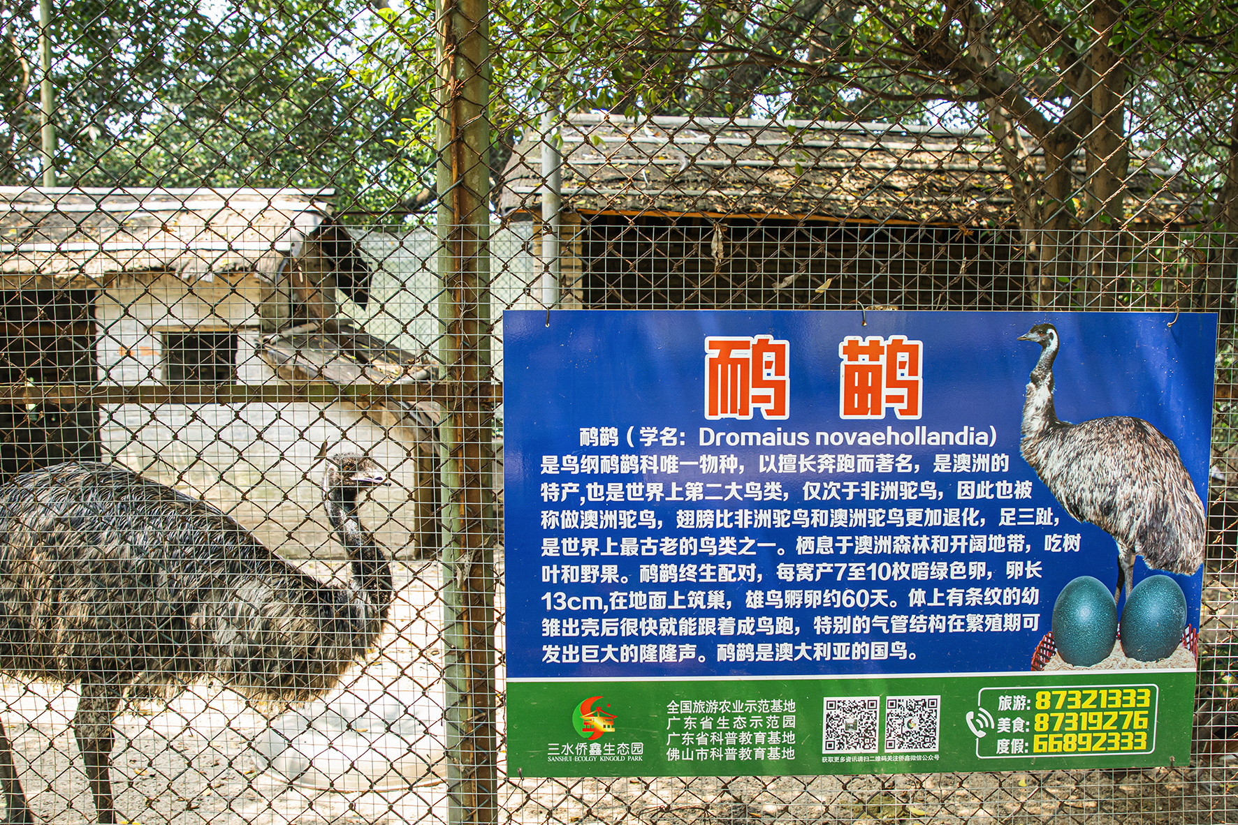 侨鑫生态园景区,华南生态休闲农庄