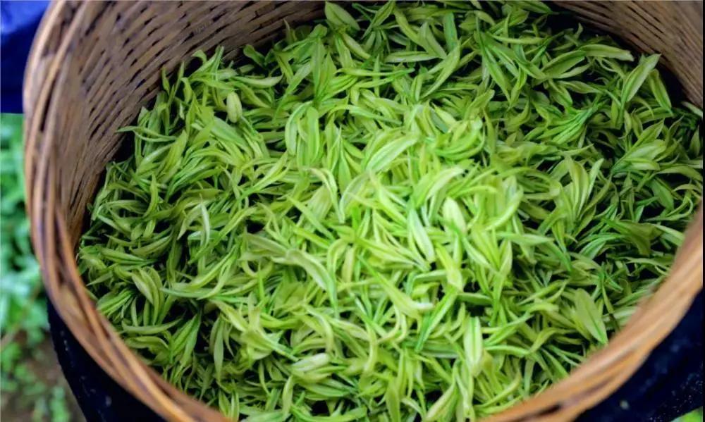 澶х鏃呮父鏅偣澶у叏鎺ㄨ崘,鎺㈠澶╁簻鏃呮父鍚嶉晣