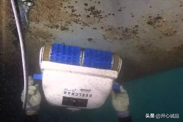 极限工作之船底清洁：虽说大船底能刮好几十吨海鲜，你敢去吃吗？