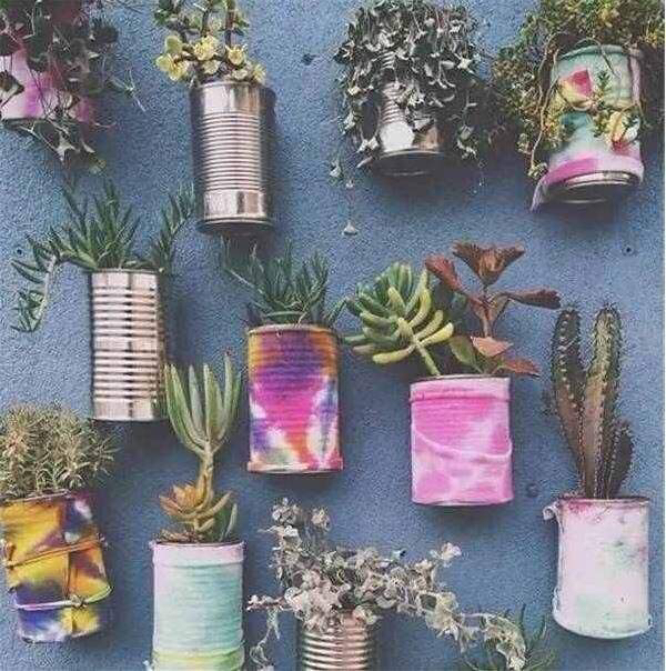 空奶粉罐种花方法,奶粉罐养花效果好吗