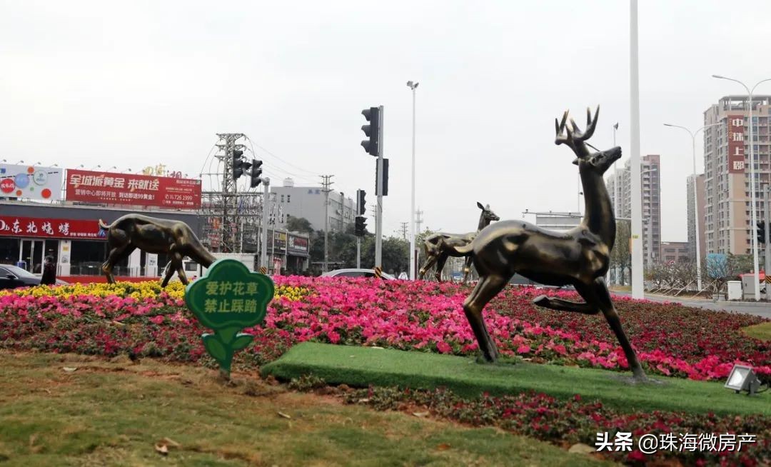 珠海新开放公园,珠海新公园免费开放