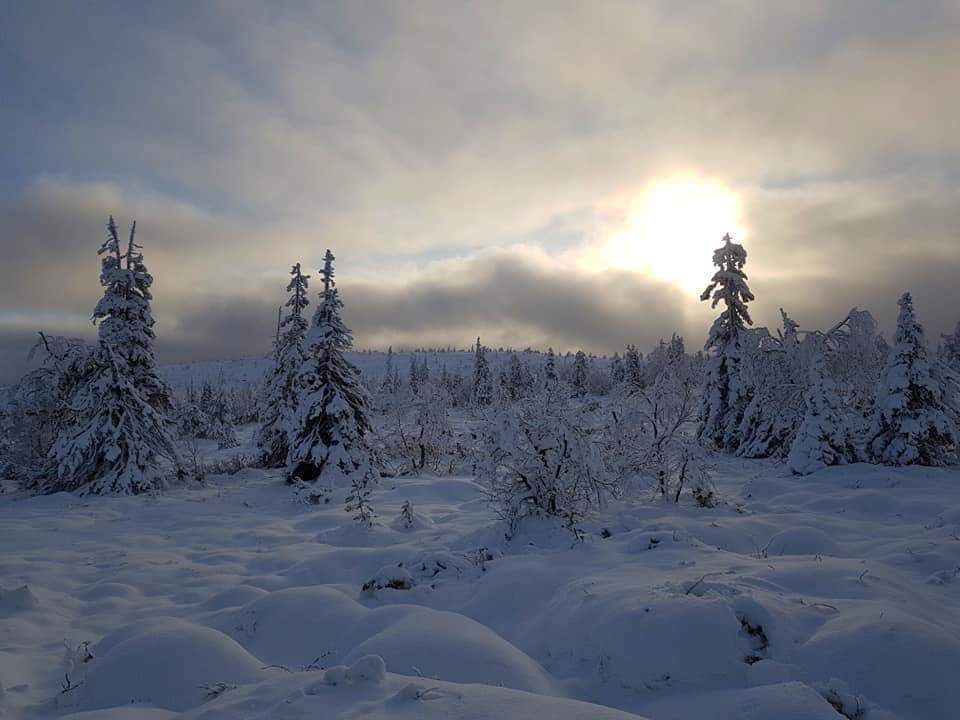 寒冬将至，2019冬季的魔力Taikatalvi-芬兰冬季文化营回顾