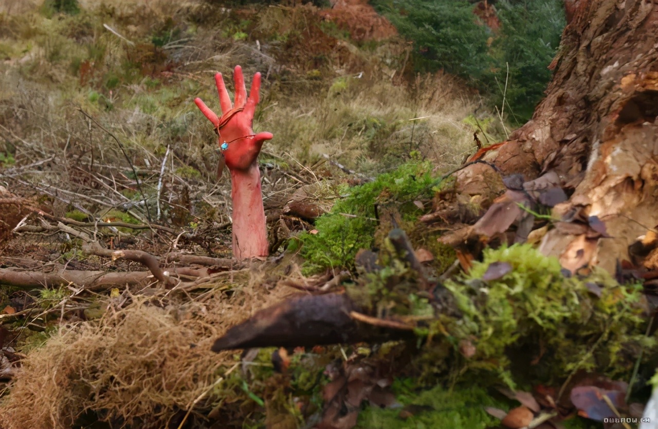 爱与怪物2020完整版电影,爱与怪物视频