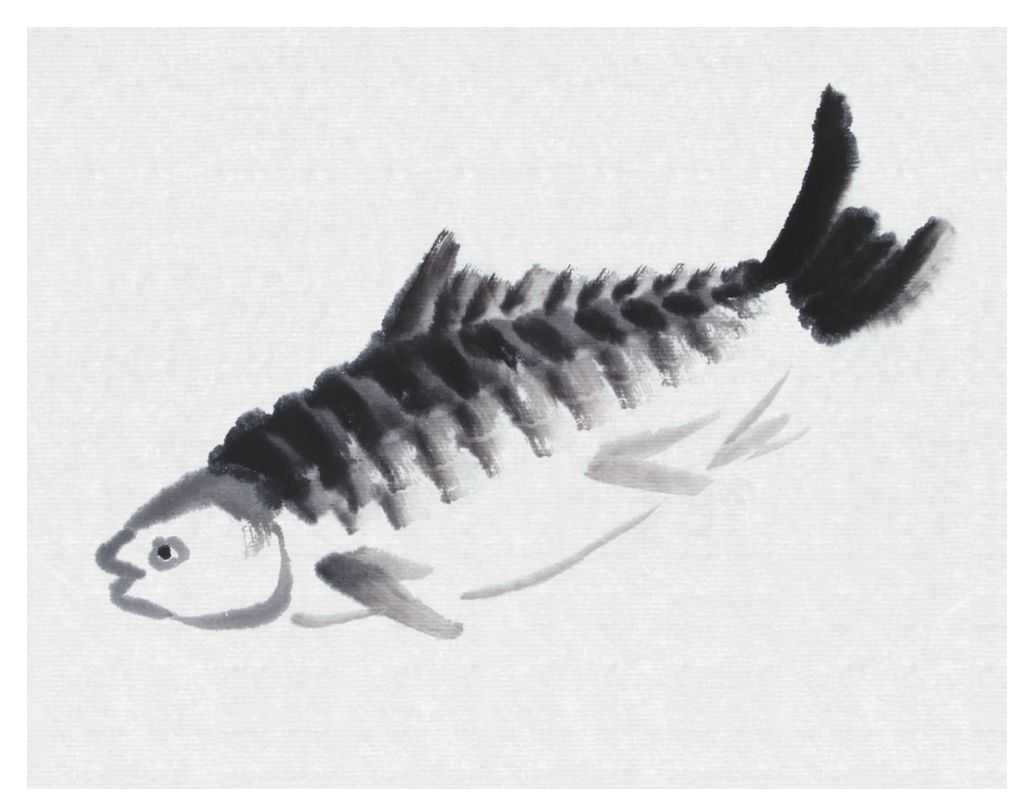 草鱼不会画？那是你没有学会这几点画法，学会几分钟画《鱼乐图》