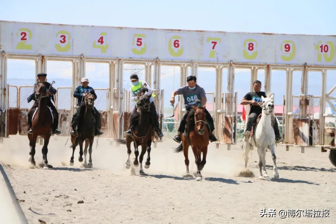 鍗氬窞鐨勫ソ娑堟伅,鍗氬窞澶╂皵浠婂ぉ