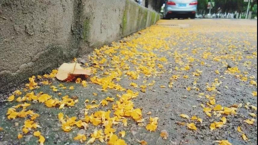 广东科学技术职业学院中专分数线,广东科学技术职业学院有本科嘛