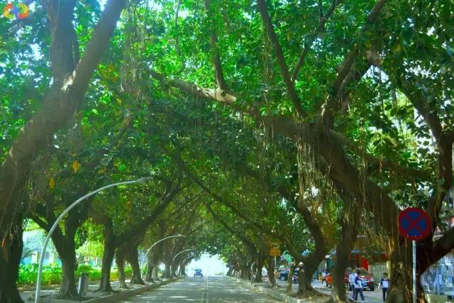 从平安路到桃园路的旧街，独属于老香洲的记忆