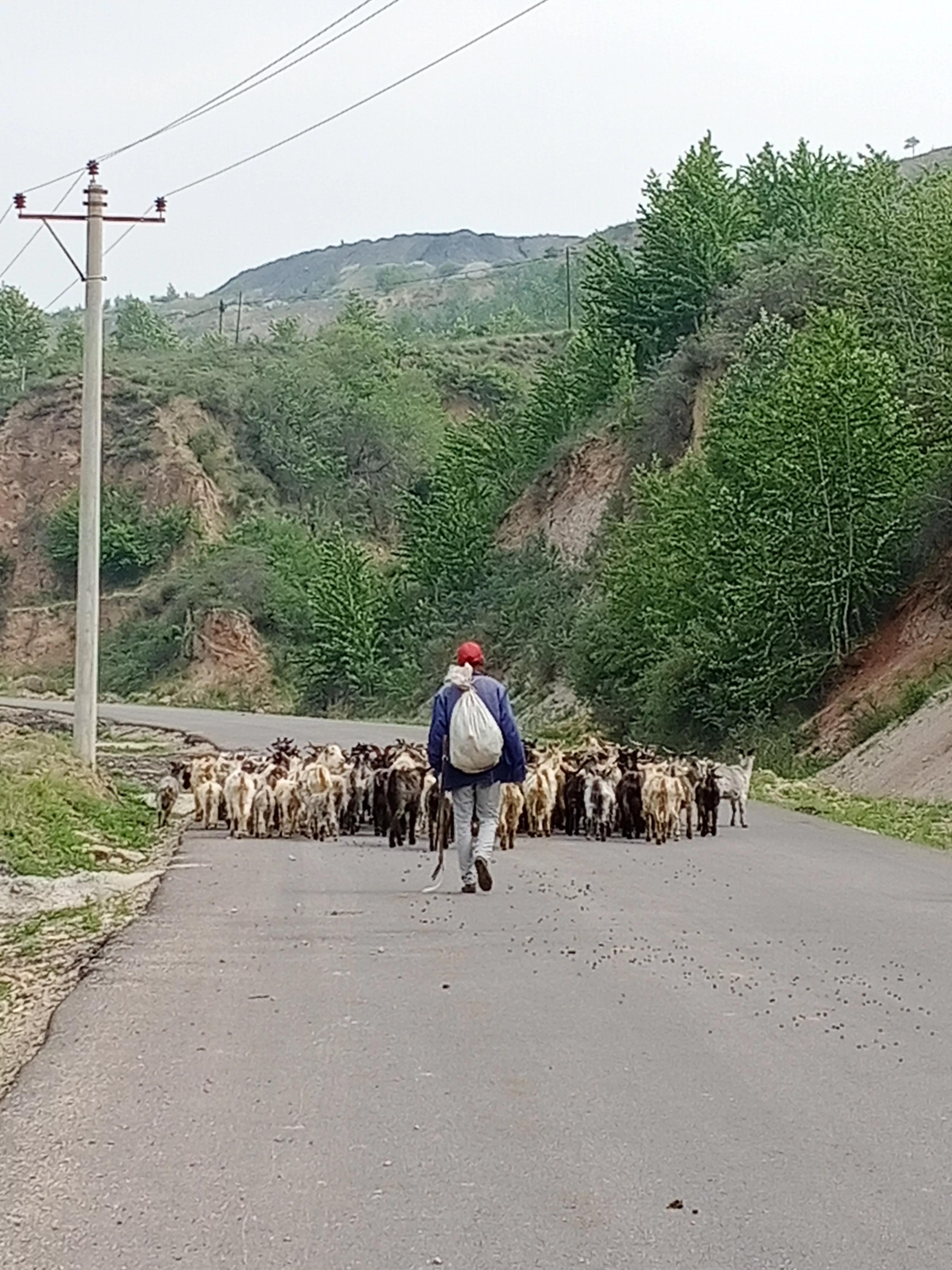 五峰山景区视频,五峰旅游景区