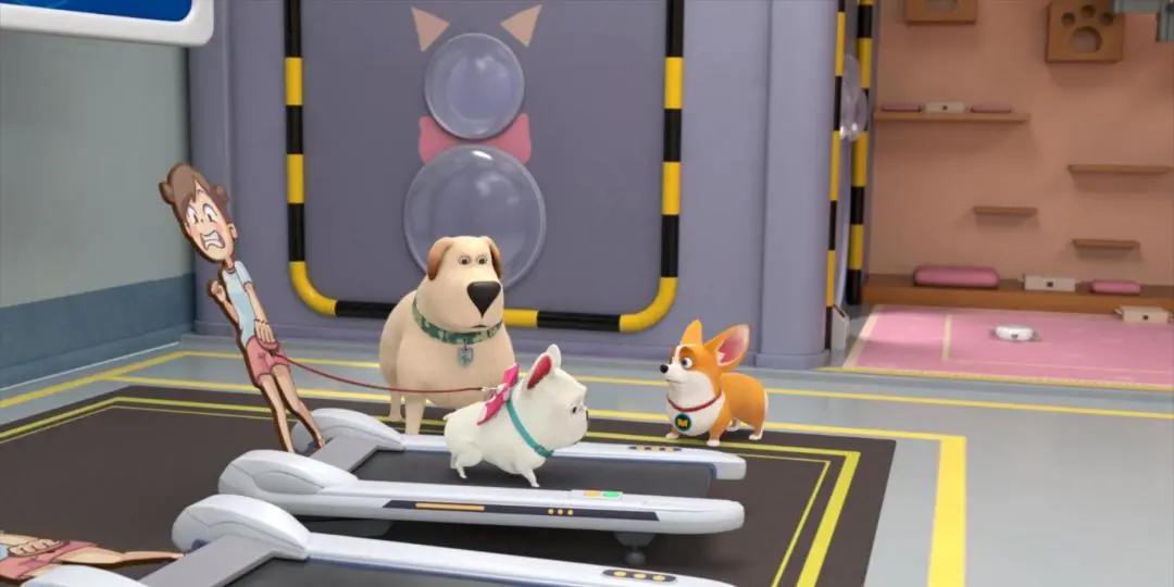 飞狗moco之小柯基的脑洞时刻,飞狗moco和他的小伙伴们