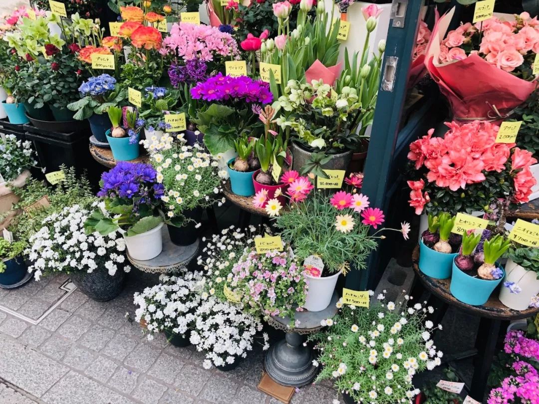 生活在福冈有什么好处,在福冈生活的好处