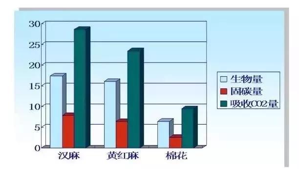 汉麻系列丨人类发现的最完美材料已经8000岁了