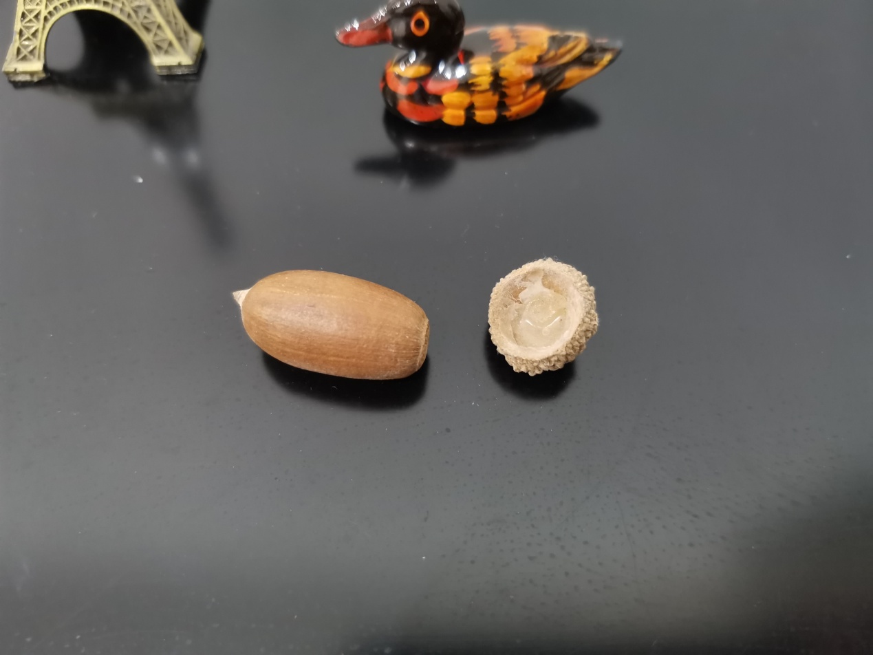 迷你锂电热熔枪,锂电热熔枪diy