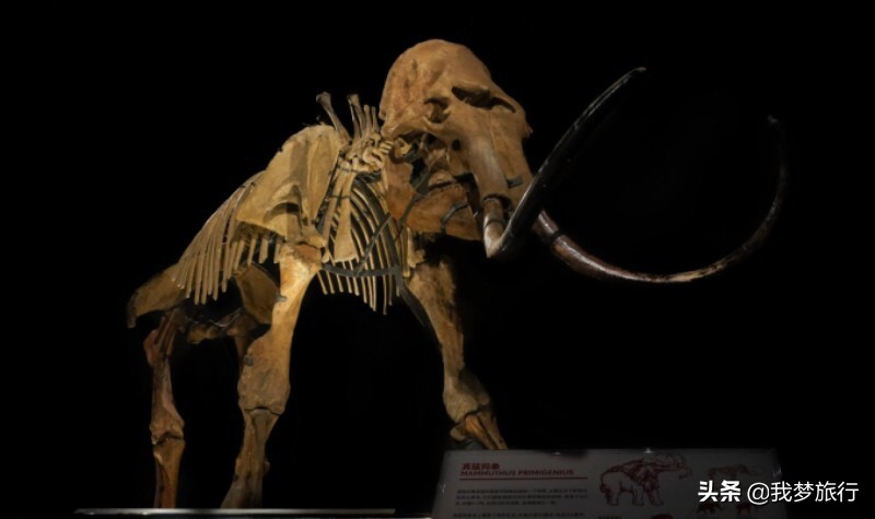 厦门旅游攻略及感悟自由行,厦门旅游推荐最全攻略自由行