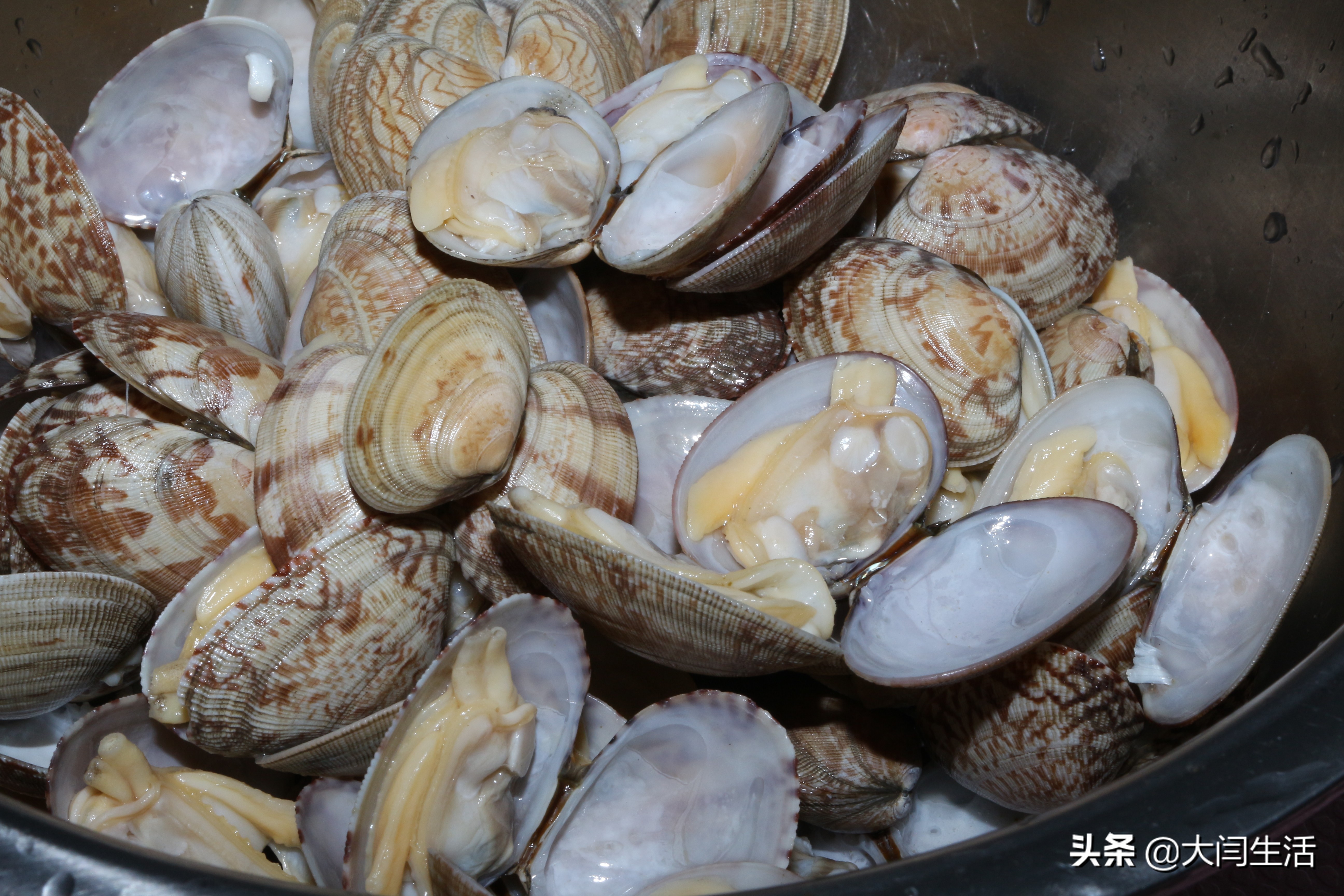 爆炒花蛤怎么吐沙最快,花蛤吐沙吐不干净