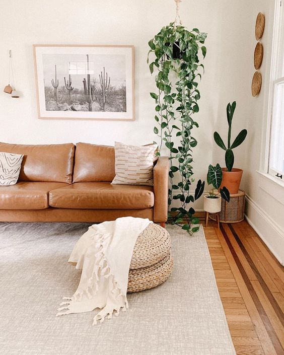 ins达人的森系文艺雅居,北欧ins文艺雅居