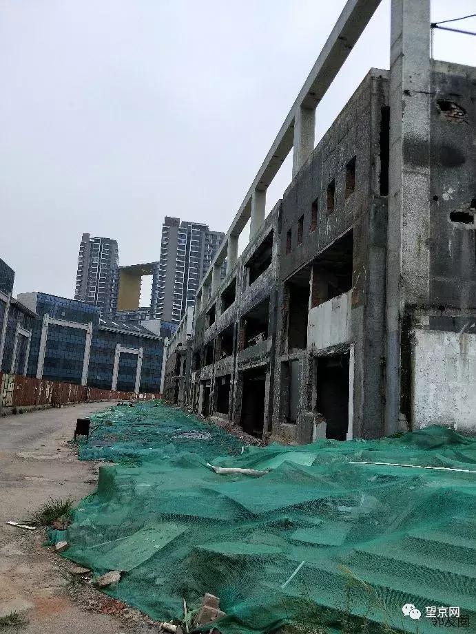 鏈涗含鏂囧寲浣撹偛鍏洯浠嬬粛,鏈涗含鏂囧寲浣撹偛鍏洯鍖椾含