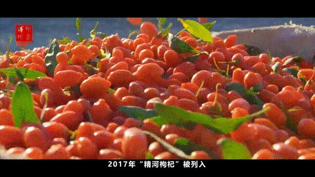 博州精河县全景,精河美景视频