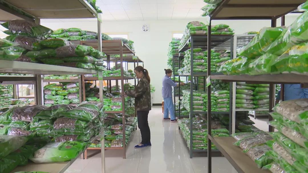 平凉市青松中药饮片有限公司,青松中药饮片有限公司