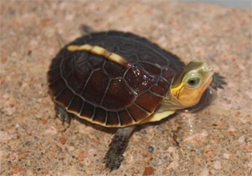 有这6个症状的人要注意啦,拥有6个特征说明你很健康