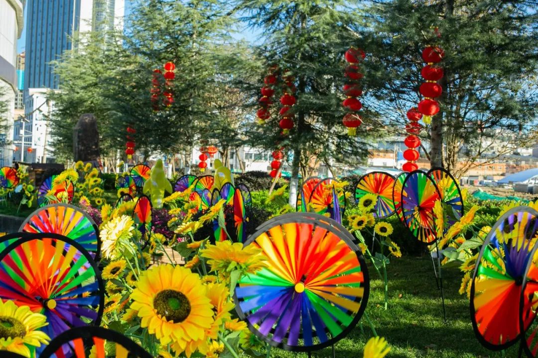 海洋剧场秀、丛林萌宠乐园、风车向阳花，昆明热闹新春，属于它