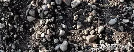 今日特价红酒,今日头条红酒推荐