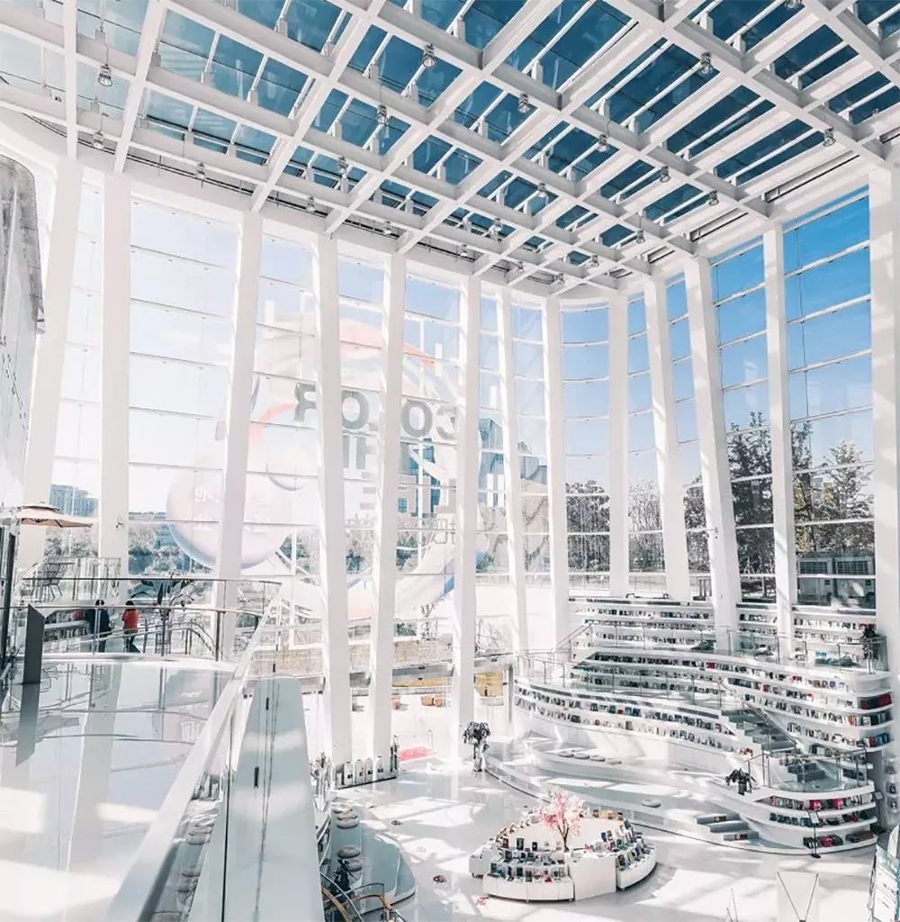 上海打卡的自然风景,上海春天拍照打卡圣地