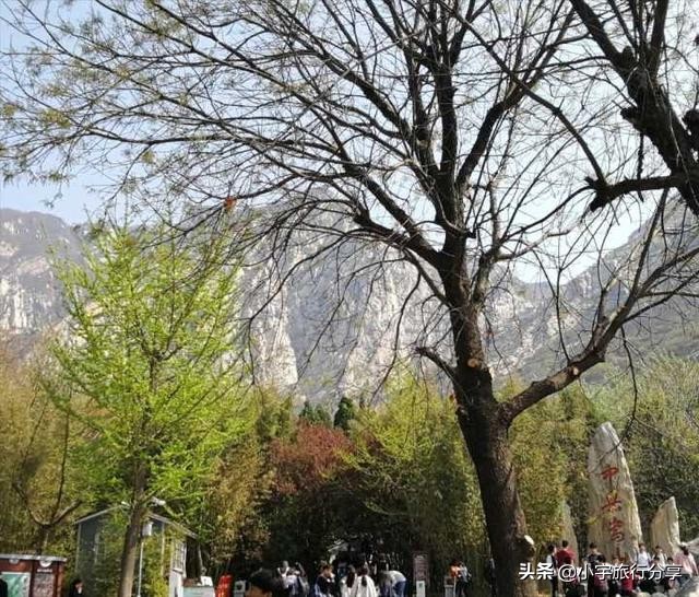 郑州免费旅游景点推荐一日游攻略,郑州冷门旅游景点推荐一下