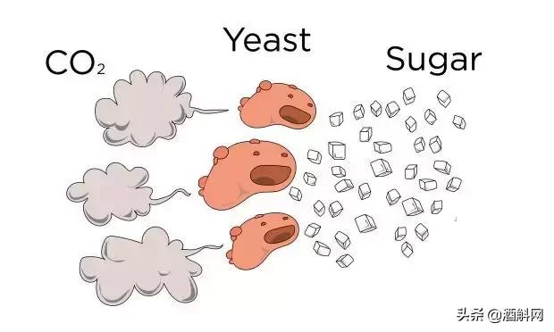 起泡葡萄酒缺陷是什么原因,葡萄酒为什么多酒渣