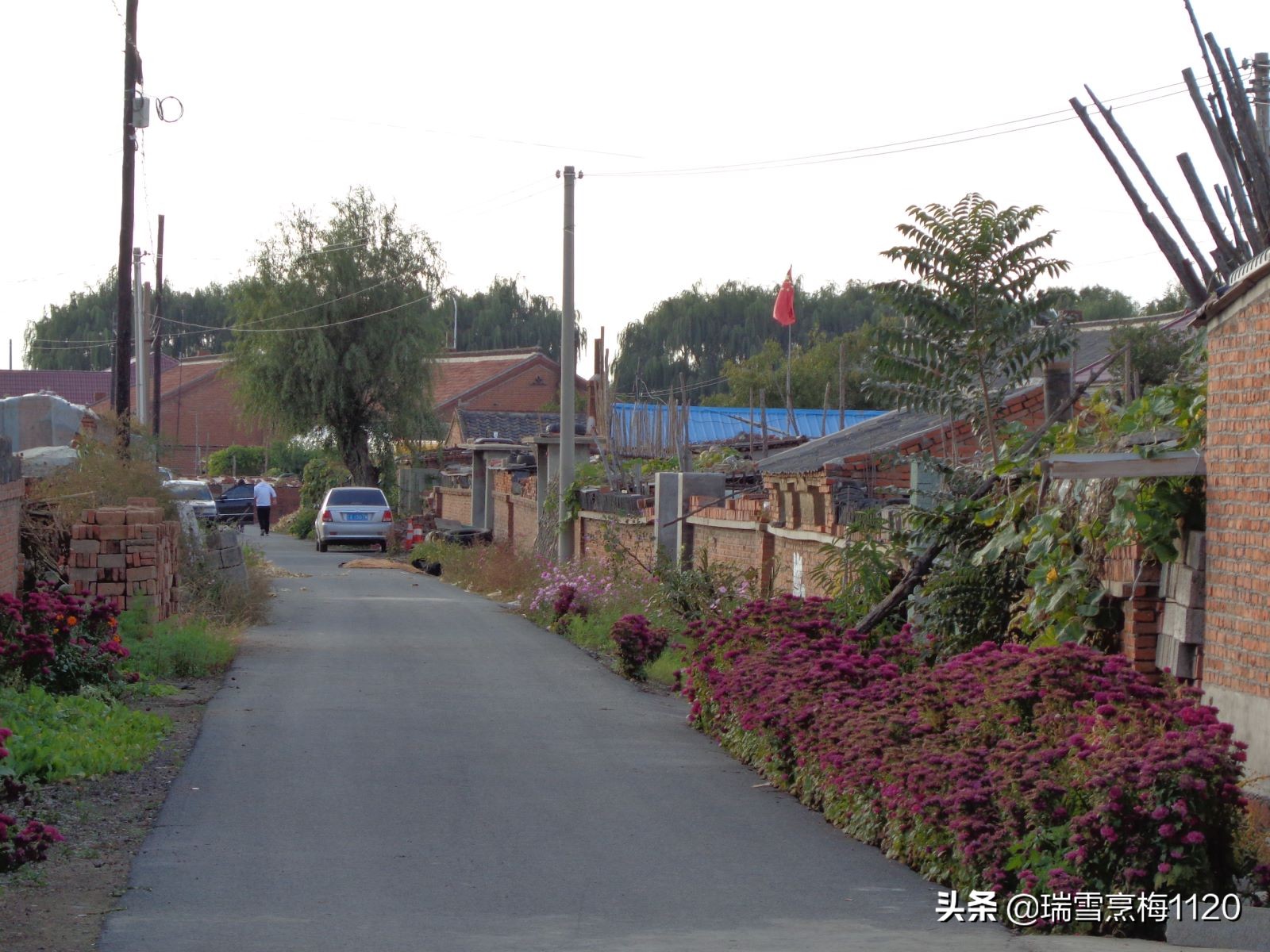 沈北新区依路村,沈北新区马刚乡地图