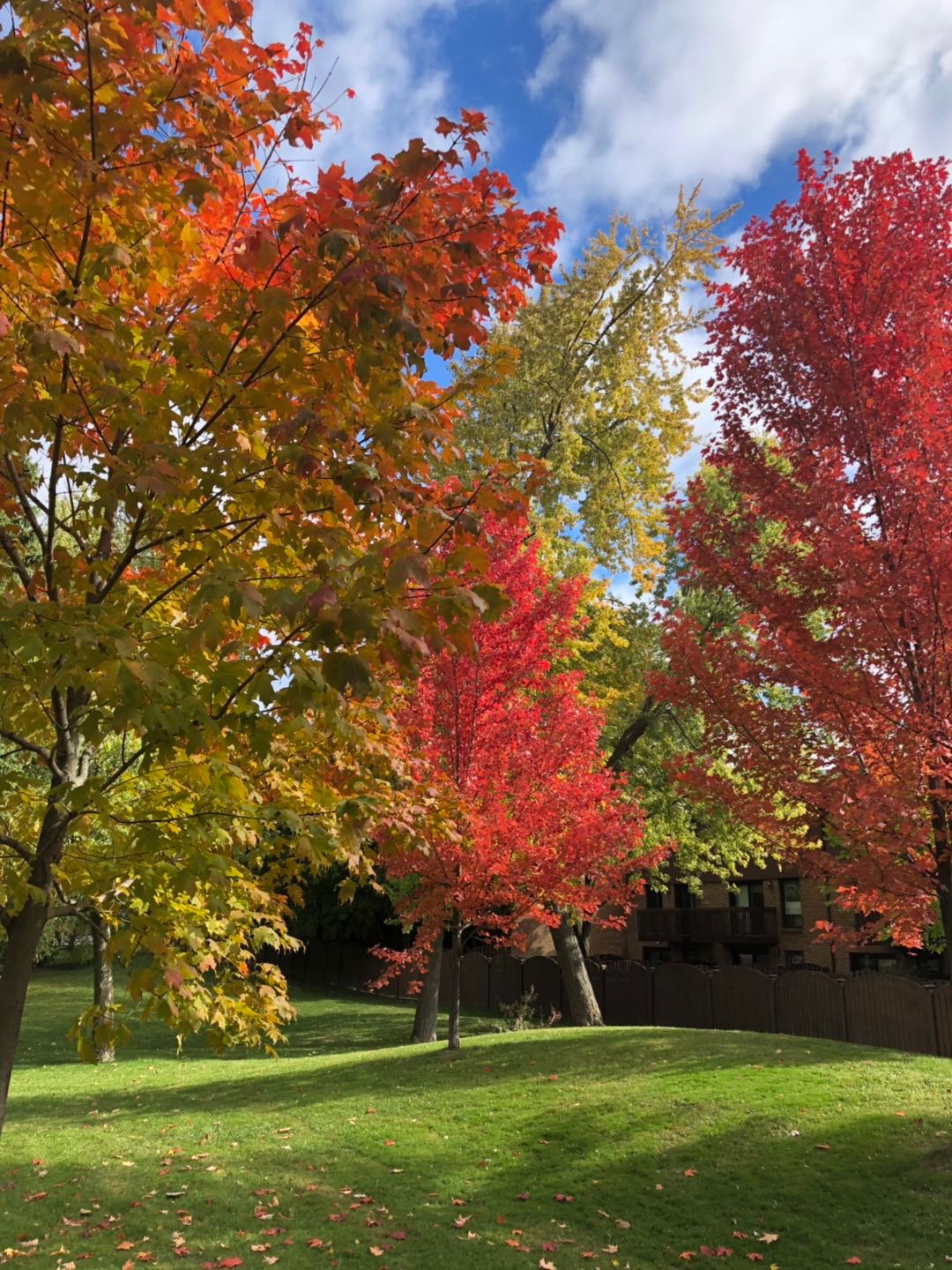 加拿大留学中介哪个靠谱,留学加拿大中介前十名